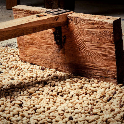 Mexico Veracruz Altura - Decaf - Medium